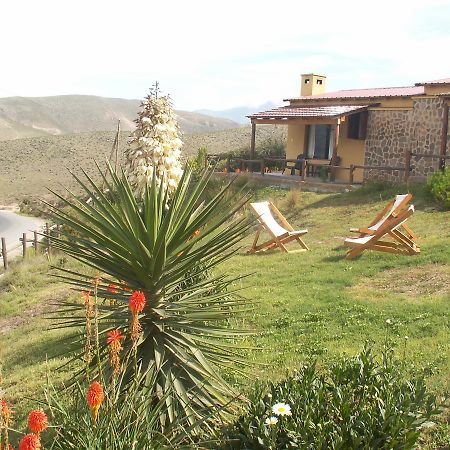 Cabanas Balcones De Tafi Тафи-дель-Валье Экстерьер фото
